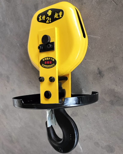 Metallurgical Electric Hoist